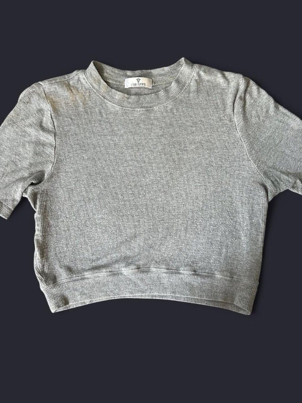 Giraffe Light Grey Short Sleeve Crop Top